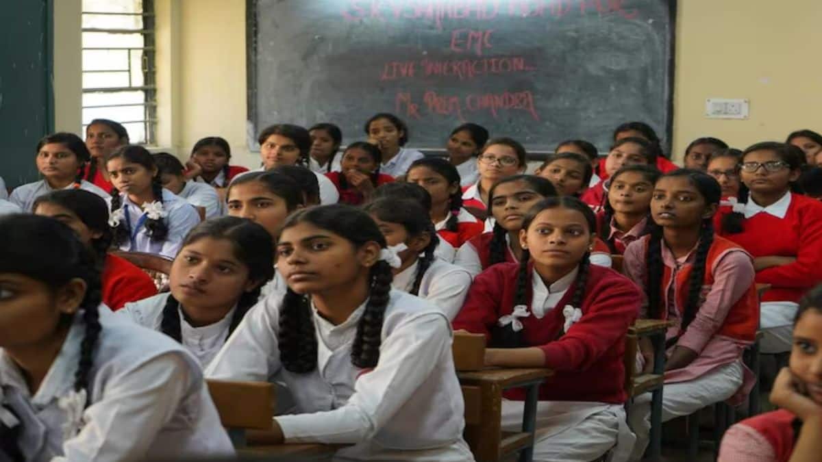 जेएनवी लेटरल एंट्री सिलेक्शन टेस्ट के लिए आधिकारिक वेबसाइट navodaya.gov.in से आवेदन कर सकते हैं। (प्रतीकात्मक-विकिमीडिया कॉमन्स)